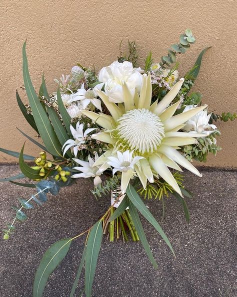 White King protea bouquet Flannel Flower Bouquet, White King Protea, King Protea Bouquet, King Protea Flower, Native Bouquet, Mixed Eucalyptus, Protea Bouquet, Classic White Wedding, Flannel Flower