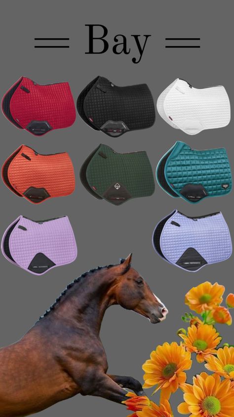 Bits For Horses, English Riding Outfit, Horse Riding Outfit, Horse Saddle Pads, Equestrian Aesthetic, Barrel Racing Horses, Funny Horses, Horse Aesthetic, English Riding