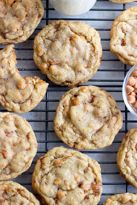 Oatmeal Butterscotch Toffee Cookies – 5 Boys Baker Butterscotch Shortbread Cookies 12 Tomatoes, Cookies With Score Bits, Butterscotch Chips What To Make With, Butterscotch Toffee Cookies, Oatmeal Toffee Cookies, Butterscotch Oatmeal Cookies, Everyday Cookies, Butterscotch Toffee, Oatmeal Butterscotch