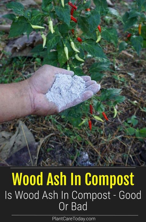 Wood Ash For Garden, Composting Ideas, Backyard Hacks, Composting Process, How To Make Compost, Compost Soil, Acid Loving Plants, Compost Tea, Worm Composting