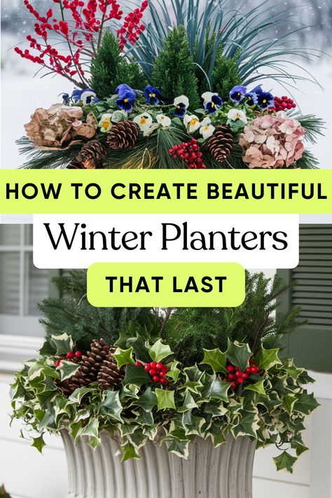 How to Create Beautiful Winter Planters – That Last All Winter January Planter Ideas Front Porches, Winter Plants Outdoor Cold Weather, Outdoor Winter Planter Ideas, Winter Pots Outdoor Planters, Winter Planter Boxes, Winter Landscaping Ideas, Winter Outdoor Planter Ideas, Evergreen Planters, Winter Planters