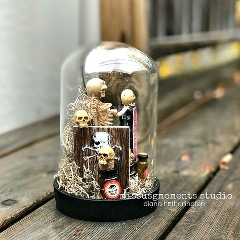 Glass Cloche Decor, Halloween Cloche, Halloween Minis, Halloween Shadow, Halloween Diorama, Cloche Decor, Halloween Shadow Box, Shrunken Head, Glass Dome Display