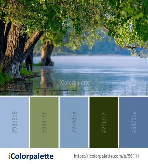 51 Bayou Color Palette ideas in 2021 | iColorpalette Bayou Color Palette, River Color Palette, River Images, River Logo, Nature Reflection, Color Palette Ideas, Color Pallete, Water Nature, Palette Ideas