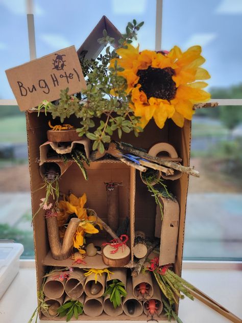 Montessori inspired bug hotel. Transitional Kindergarten. Preschool. Bugs. Bug Hotel Ideas, Bug Hunting, Bugs Hotel Ideas, Bug Habitat, Bug House, Bug Provocations Preschool, Bug Set Up Preschool, Entomologist Lab Dramatic Play, Bug Hotels