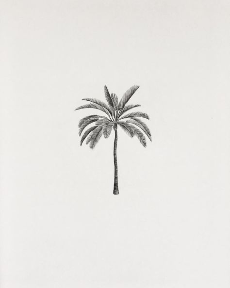 Tree Pencil Drawing, Palm Tree Drawing, Palm Tattoos, Palm Tree Tattoo, Tiny Tattoo, Symbol Tattoos, Nature Tattoos, Tree Drawing, Tree Tattoo