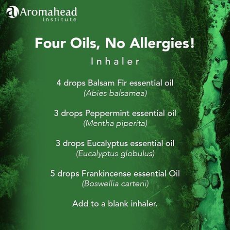 Aromahead Institute (@aromahead) • Instagram photos and videos Recipes For Allergies, Essential Oils Allergies, Essential Oil Inhaler, Essential Oils For Colds, Essential Oil Education, Essential Oils For Pain, Essential Oil Diffuser Blends Recipes, Essential Oil Remedy, Essential Oils Guide