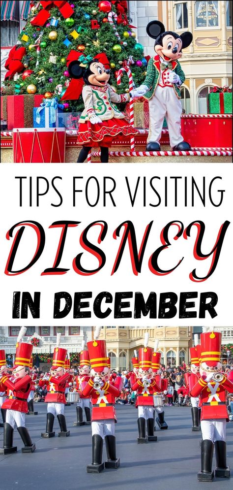 Tips for Visiting Disney World in December Disney World December, Disney In December, Disney World In December, Disney At Christmas, Christmas At Disney World, Disney World Secrets, Disney World Christmas, Winter Hacks, Christmas Week