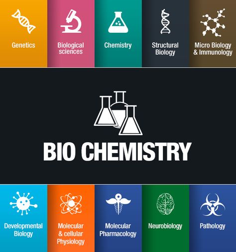 Biochemistry Major :D Biology Chemistry Physics, Biochemistry Aesthetic Wallpaper, Biochemist Aesthetic, Biochemistry Wallpaper, Chemical Tattoos, Biochemistry Aesthetic, Biochemistry Art, Careers Ideas, Medical Biochemistry