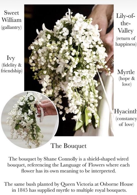 Modern Bridal Bouquets, Middleton Wedding, Kate Middleton Wedding, Bush Plant, British Wedding, Wedding Bouquets Bride, Wedding Mood Board, Wedding Mood, Bride Bouquets