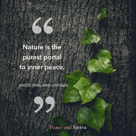 Natural Healing Quotes, Nature Lover Quotes, Nature Quotes Beautiful, Silent Quotes, Magic Quotes, Quotes About Love And Relationships, Happiness Quotes, Good Morning Inspirational Quotes, Very Inspirational Quotes