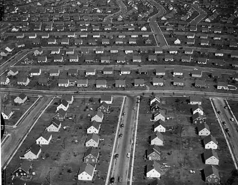 1950s Suburbia Aesthetic, 1950s Suburbia, 50s Suburbia, American Suburbia Aesthetic, 50s Horror Aesthetic, Suburbia Aesthetic, 50s Suburbia Aesthetic, Acedamia Aesthetic, The Veldt