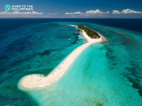 Kalanggaman Island is an idyllic destination in the town of Palompon, Leyte. It is popularly known for its crystalline water, powder-like white sand, and long sandbar extending on both sides of the island that you can experience with a day trip in Kalanggaman Island.  This appears like a smaller version of the famous Boracay Island, but without restaurants and resorts lining up its beachfront. Leyte Philippines, Kalanggaman Island, Boracay Island, Lining Up, Leyte, Beach Activities, Philippines Travel, Boracay, Island Hopping