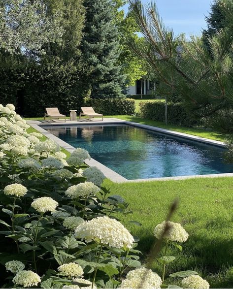 Walled Garden Swimming Pool, English Garden Pool Backyards, Hamptons Backyard Landscaping, Organic Shaped Pool, Big Garden With Pool, Natural Looking Pools, Pool In Garden, Hamptons Backyard, Circular Pool