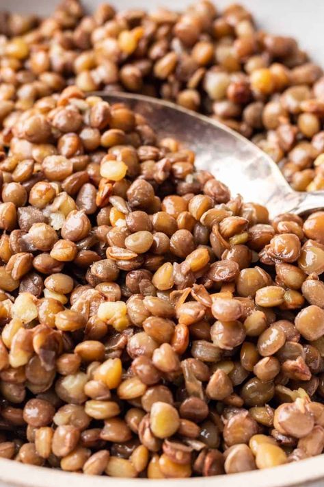 How to Cook Lentils in Rice Cooker Rice Cooker Hacks, Lentils In Rice Cooker, How To Make Lentils, Cook Lentils, Aroma Rice Cooker, Cooked Lentils, How To Cook Lentils, Soy Sauce Alternative, Pasta Side