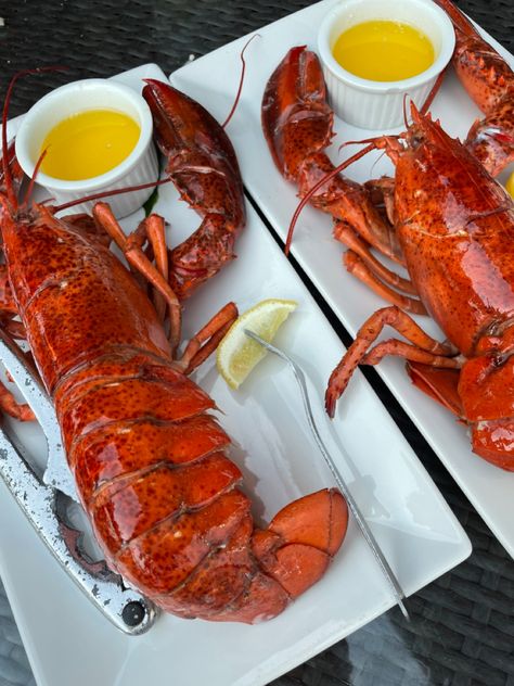 Seafood Lobster, Fancy Seafood, Cooked Lobster, Lobster Aesthetic Food, Aesthetic Seafood, Lobster Food, Lobster Aesthetic, Lobster Tail, Giant Lobster