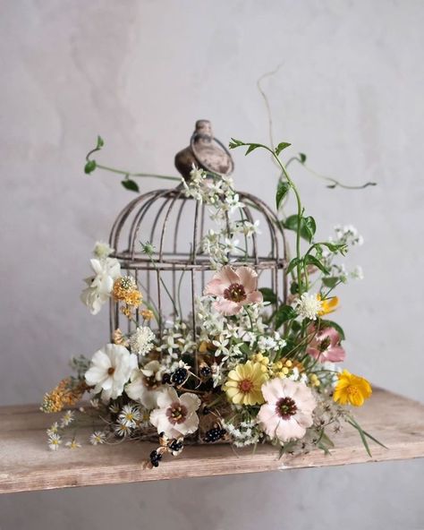 Birdcage Planter, Bird Cage Centerpiece, Wedding Birdcage, Bird Cage Decor, Display Table, Flower Studio, Ceremony Flowers, Bird Cages, Bridesmaid Flowers