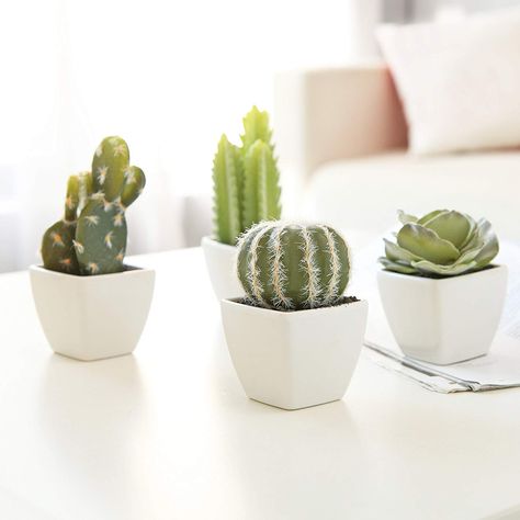 The perfect Set of 4 Faux Artificial Mini Succulent & Cactus Plants in White Cube-Shaped Pots: Home & Kitchen Fairy Castle Cactus, Small Cactus Plants, Kaktus Dan Sukulen, Artificial Cactus, Fake Plants Decor, Work Office Decor, Small Cactus, Mini Cactus, Artificial Plants Outdoor