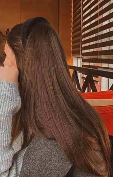 Brunet Hair Colors, Straight Chestnut Brown Hair, Chesnutt Brown Color Hair Straight, Long Chestnut Brown Hair, Chestnut Light Brown Hair, Machiatto Hair Color, Pelo Chocolate Caramelo, Golden Brunette Hair, Coffee Hair Color