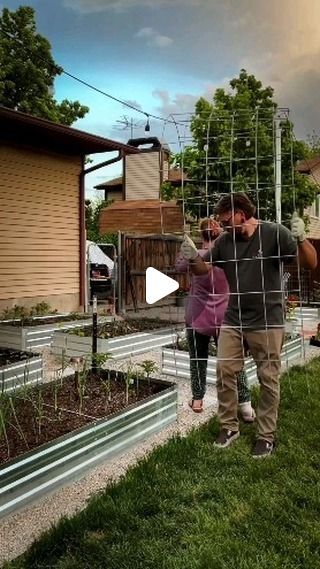 Gardening Soapmaker on Instagram: "8ft tall 🍅 w/ cattle fencing 😍

Reposted from @mamanowwhat DIY Tomato Trellis ~ Using Cattle Fencing 🍅🌿

🌱 Purchase cattle fencing panels from Tractor Supply

🌱Bend the fencing panels to form an arch shape

🌱Place each end of the bent panels into raised garden beds

🌱Secure the panels with stakes pounded into the ground

🌱Plant tomato plant at the base

🌱As the tomato plants grow, gently train them to climb the trellises

🌱Enjoy taller tomato plants, up to 8 feet tall, with support from the trellises

🌱Harvest ripe tomatoes easily under your rainbow! 

Get ready to watch your tomato plants thrive with this simple and effective DIY trellis solution! #DIYGarden #TomatoTrellis #GardeningHacks 🌱" Diy Tomato Trellis, Cattle Fencing, Cattle Panel Trellis, Tomato Support, Fencing Panels, Tomato Trellis, Cattle Panels, Diy Trellis, Garden Bulbs