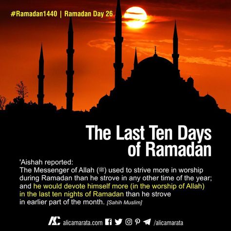 Ramadan Day 26  'Aishah reported: The Messenger of Allah (ﷺ) used to strive more in worship during Ramadan than he strove in any other time of the year; and he would devote himself more (in the worship of Allah) in the last ten nights of Ramadan than he strove in earlier part of the month. [Sahih Muslim]  📌 Ramadan will leave soon. Give your all during these last ten days of Ramadan. Last Ten Nights Of Ramadan Quotes, Last Ten Days Of Ramadan Quotes, Ramadan Day 26, Last Ten Days Of Ramadan, Ramadan Tips, Ramadhan Mubarak, Ramadan Kareem Pictures, Muslim Ramadan, Islamic Wallpaper Iphone