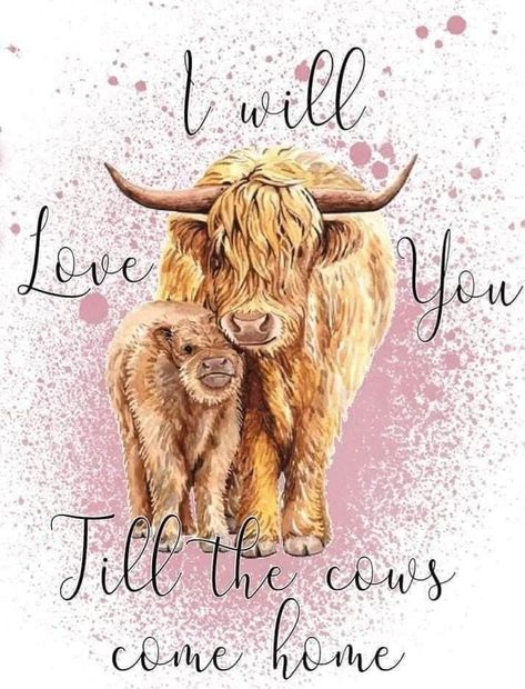 Highland Cow Quotes, Hyland Cow Tattoo, Highland Cow Tattoo, Mini Highland Cow, Highland Cow Pictures, Cow Paintings On Canvas, Cow Quotes, Cow Tattoo, Heifer Cow