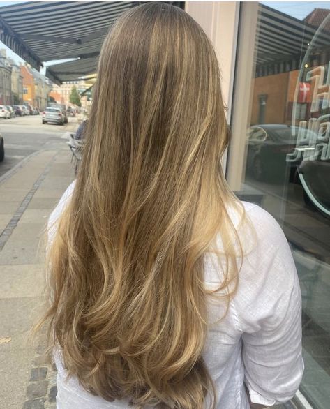 Best Fall Hair Colors, Warm Blonde Hair, Summer Blonde Hair, Dark Blonde Hair Color, Golden Blonde Hair, Brunette Hair With Highlights, Straight Blonde Hair, Dirty Blonde Hair, Hairstyles For Layered Hair