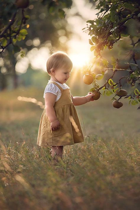 Apple Orchard Photography, Fall Baby Birthday, Apple Picking Photos, Family Maternity Pictures, Baby Apple, Apple Picture, Mom Fall, Toddler Photos, Fall Family Pictures