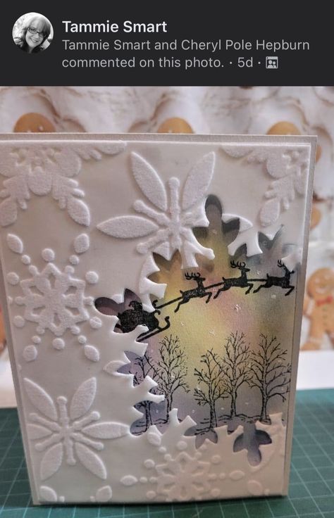 Snowflake Cards Handmade Stampinup, Winter Birthday Cards Ideas, How To Make Shaker Cards, Elegant Christmas Cards Handmade Ideas, Stampin Up Snowflake Cards, Sweet Poppy Stencils Cards, Fancy Fold Christmas Cards, Snowflake Cards Handmade, Vellum Cards Ideas