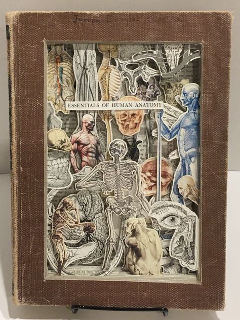 Woodburn's Anatomy altered book diorama by Dawn Morehead Book Art Sculptures, Tunnel Book, Cut Out Art, Altered Book Art, Book Sculpture, Arte Sketchbook, Antiquarian Books, Assemblage Art, Handmade Books