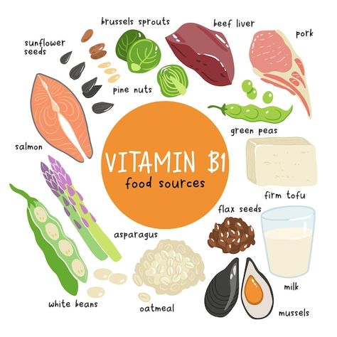 Collection of vitamin b1 sources food co... | Premium Vector #Freepik #vector #antioxidant #vitamin-icon #vitamins-minerals #nutrition-icon Vitamin B Foods, Salmon Asparagus, Tuna Avocado, Pork N Beans, Salmon And Asparagus, Vitamin B1, Flax Seeds, Beef Liver, Food Source