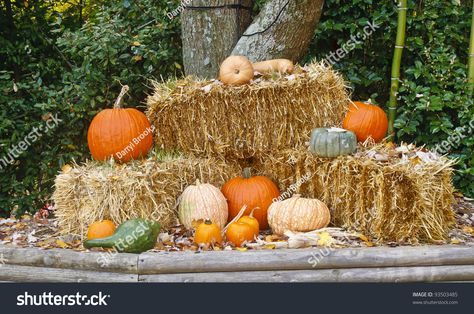 Haybale Fall Decor, Hay Fall Decor, Fall Hay Bale Decor, Fall Displays Outdoor, Fall Photo Booth Ideas, Hay Bales And Pumpkins, Hay Bale Fall Decor, Hay Bale Decor, Bail Of Hay