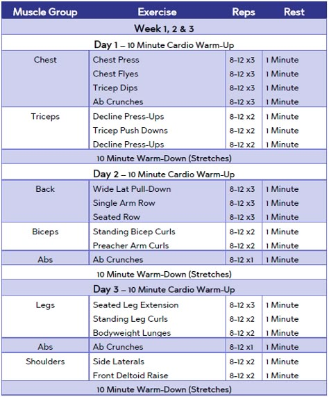 6 Week Beginner's Multi Gym Workout Plan - Exercise.co.uk Best Gym Schedule Workout Plans, Gym 2 Days A Week, Workout Schedule For Beginners Gym, Gym Routine For Beginners Workout Plans Men, Weekly Beginner Workout Plan Gym, Week Gym Schedule, 2 Days A Week Gym Plan, Gym Workout Plans For Beginners, 1 Week Gym Workout Plan Women