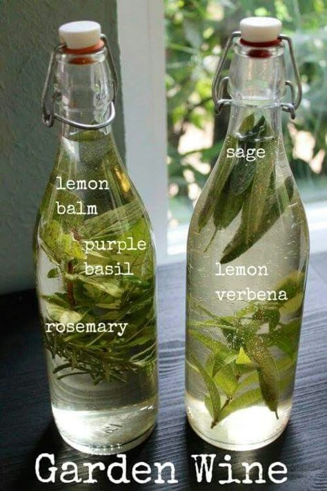 Purple Basil, Garden Sage, Homemade Wine, Garden Herbs, Makanan Diet, Witch Stuff, Lemon Verbena, Lavender Roses, Beltane