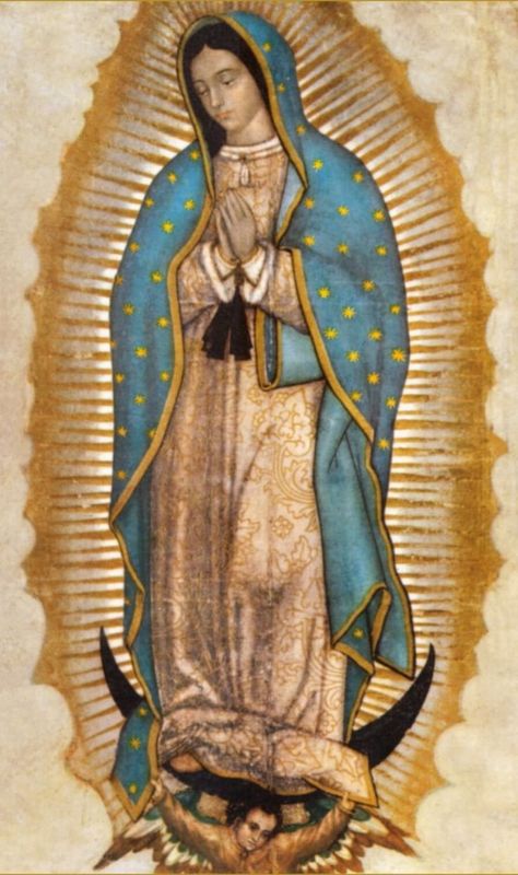 Catholic Prayers Daily, Juan Diego, Virgin Of Guadalupe, Mama Mary, Special Prayers, Blessed Mother Mary, Our Lady Of Guadalupe, Lady Of Guadalupe, Jesus Is Life