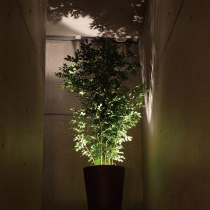 Forestarium - Illuminated Planter. This gives me an idea Hotel Plants, Indoor Planter Box, Tv Lighting, Hotel Hallway, Modern Led Lighting, Indoor Tree, Unique Planter, Hallway Lighting, Unique Gardens