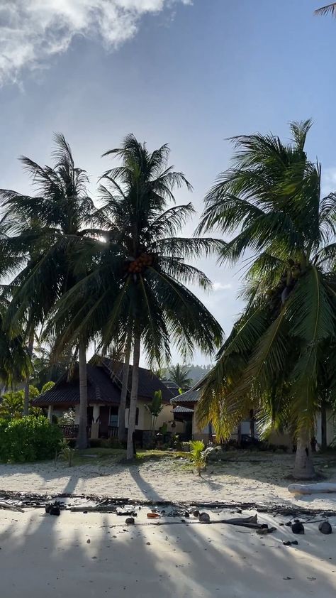 Free stock video of asia, bay, beach, beach life, beautiful, bungalow, coconut, coconut trees, exotic, haad yao, hotel videos, hotel life, house, hut, island, ko phangan, lagoon, lovely places, nature, nice place, ocean, pacific, palm, paradise, resort, sand, sea, seascape, seashore, shore, stunning view, summer, sun, sun rays, sunset videos, sunsets, thailand, travel, tree, trees, tropical, tropical island, vacation, water Ko Phangan, Beautiful Bungalow, Paradise Resort, Travel Tree, Tropical Sun, Beach Bungalow, Coconut Trees, Lovely Places, Sand Sea