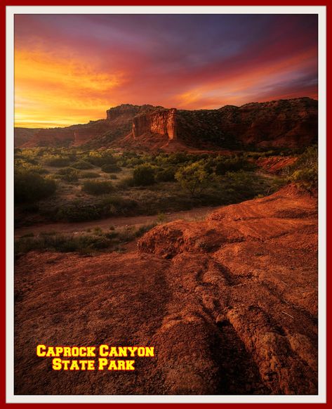 Caprock Canyon State Park. Caprock Canyon, Texas Scenery, Caprock Canyon State Park, Texas Places, Texas Photo, Desert Painting, Space Pictures, Amazing Spaces, State Park