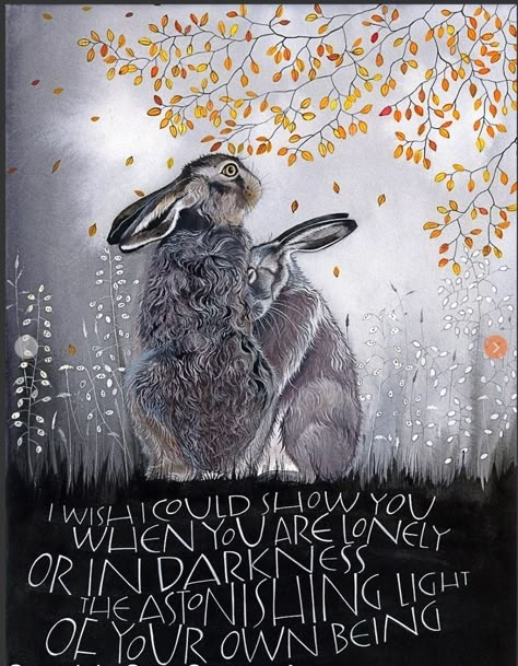 Sam Cannon, Hare Art, Rabbit Rabbit, Rabbit Art, Bunny Art, Pen And Watercolor, Inspiring Words, Local Artists, Great Quotes