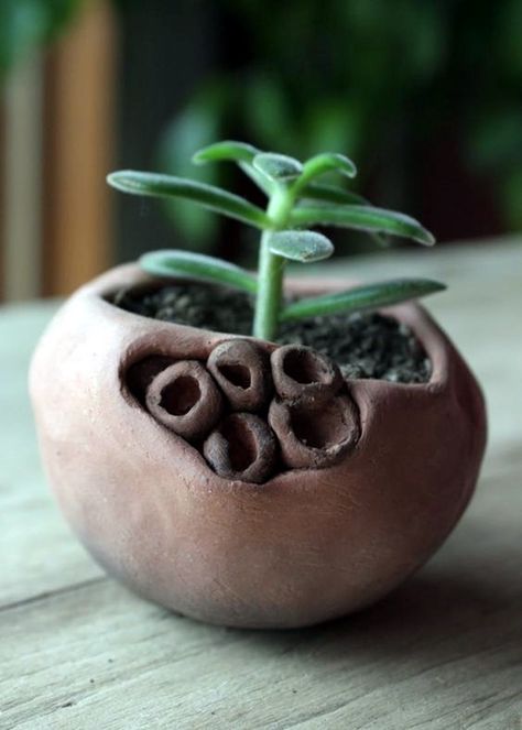 DIY pinch pots ideas to try Your Hands On (42) Clay Pinch Pot Ideas Pottery, Clay Pinch Pots, Pottery Pinch Pot, Ceramic Pinch Pots, Beginner Pottery, Pinch Pot, Pottery Handbuilding, Garden Pottery, Keramik Design