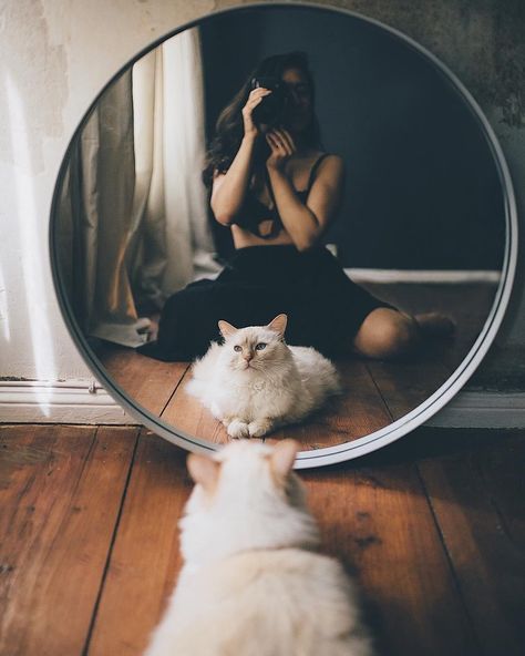 Cat Familiar, Mirror Photography, Shotting Photo, Photographie Portrait Inspiration, Self Portrait Photography, Foto Tips, Portrait Photography Poses, Foto Poses, Tumblr Photography