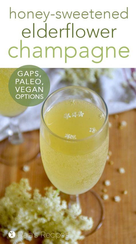 Honey-Sweetened Elderflower Champagne :: paleo, GAPS Elderflower Champagne, Camping Gift Ideas, Farm Recipes, Paleo Drinks, Brewing Recipes, Drink Recipe Book, Gaps Diet, Primal Recipes, Allergy Free Recipes