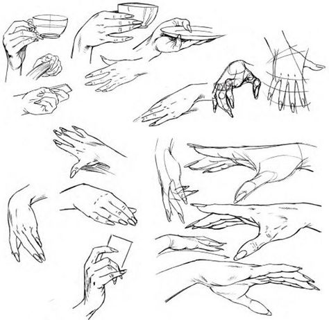 Flooby Nooby: Hands (Part 1) Drawing Improvement, White Sketches, Sketch Tutorial, Hands Tutorial, Hands Drawing, Female Hands, Drawing Help, Draw Hands, Hand Gestures