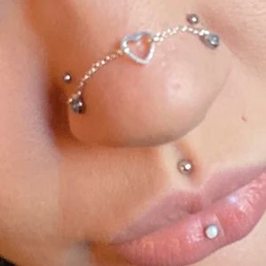 Heart Chain Nose Piercing, Nose Stud Chain, Across Nose Chain, Chain Nose Ring, Nose Chain Across Bridge, 2 Nostril Piercings, Nose Bridge Chain, Over The Nose Chain, Nose Chain Piercing