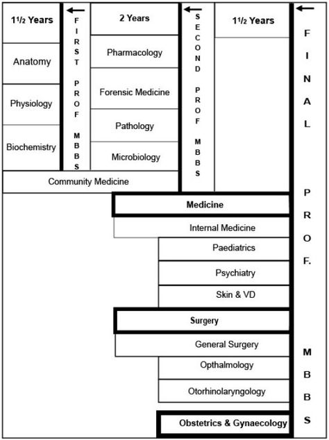 MBBS Study pattern Mbbs Subjects List, Mbbs Study, Becoming Her, Easy Diy Gifts, Internal Medicine, Year 11, Medical Education, Learning Ideas, Biochemistry