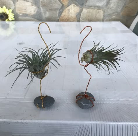 Inside House Plants, Plant Holder Diy, Air Plants Diy, Air Plant Garden, Vertical Garden Plants, Air Plants Decor, Air Plants Care, Plant Crafts, Plants Diy