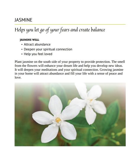 JASMINE WILL ⋆ Attract abundance ⋆ Deepen your spiritual connection ⋆ Help you feel loved Plant jasmine on the south side of your property to provide protection. The smell from the flowers will enhance your dream life and help you develop new ideas. It will deepen your meditations and your spiritual connection. Growing jasmine in your home will attract abundance and fill your life with a sense of peace and love. Plants For Home Protection Witchcraft, Jasmine Flower Symbolism, Flowers For Abundance, Jasmine Flower Spiritual Meaning, Jasmine Spiritual Meaning, Flowers For Protection, How To Smell Like Jasmine Flowers, Jasmine Incense Meaning, Jasmine Flower Meaning