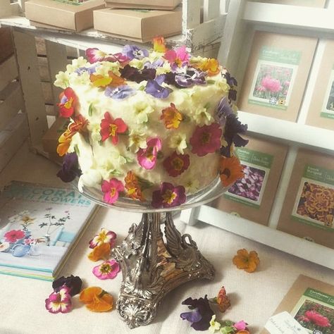 Lovely to see our edible flowers on the stand of @meadowinmygarden and @theedibleflowershop at @the ediblegardensho in London. If you are there visit stand 469 and tell Paul that he should be on @TheGreatBritishBakeOff! Botanical Cake, Edible Flowers Cake, Flower Cake Decorations, Rectangle Cake, Petal Cake, Tea Food, Birthday Cake With Flowers, The Stand, Wedding Cakes With Flowers