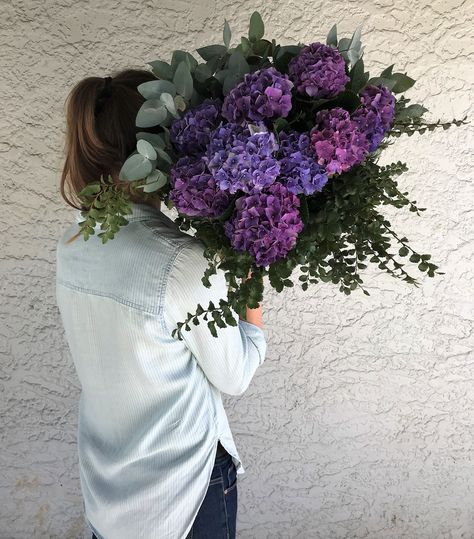 Lush purple Hydrangea Bouquet from The Little Flower Shop Dark Hydrangea Bouquet, Purple Hydrangea Bouquet Wedding, Hydrangea Bouquet Aesthetic, Dark Purple Hydrangea, Purple Hydrangea Bouquet, Purple Hydrangea Wedding, Royal Purple Wedding, Blue Hydrangea Bouquet, Dark Purple Wedding