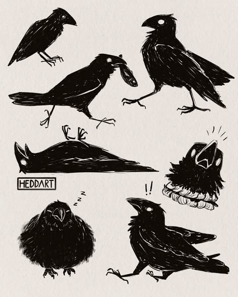 Crow Holding Something, Crow Reference Drawing, Folk Art Crow, How To Draw Crow, Crow Drawing Reference, Crow Art Dark, Crows Cute, The Crow Fanart, Crow Drawing Simple