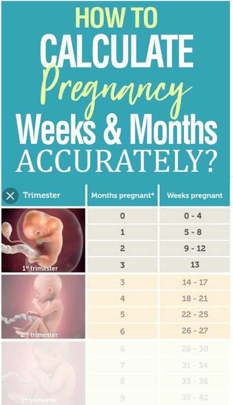 How To Calculate Pregnancy Weeks And Months Accurately? : MomJunction understands the difficulty in narrowing down on the exact weeks of pregnancy and thereby the due date. Therefore, we will tell you how to calculate pregnancy weeks and months . Read on! #pregnancy #calculate #pregnancycare How Many Months Pregnant Am I, Pregnancy Months And Weeks, Pregnancy Weeks And Months, Pregnancy Weeks To Months, 33 Week Pregnancy, Pregnancy Week Calculator, Weeks To Months Pregnant, Mindful Motherhood, Due Date Calculator